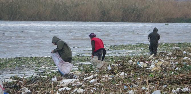 Sahile vuran odunlar kışlık yakacakları oldu
