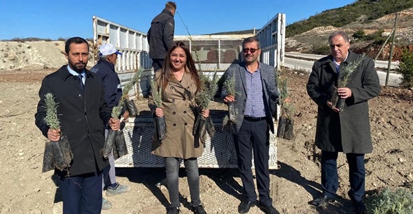 Yayladağı Lavanta kokacak