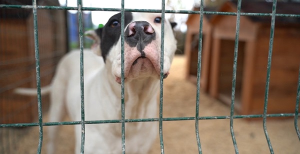 HBB’nin çağrısı karşılık buldu