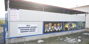 Antakya Belediyesi: “Dünya sadece bizim değil”