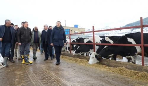 Hassa’da HBB seferber oldu