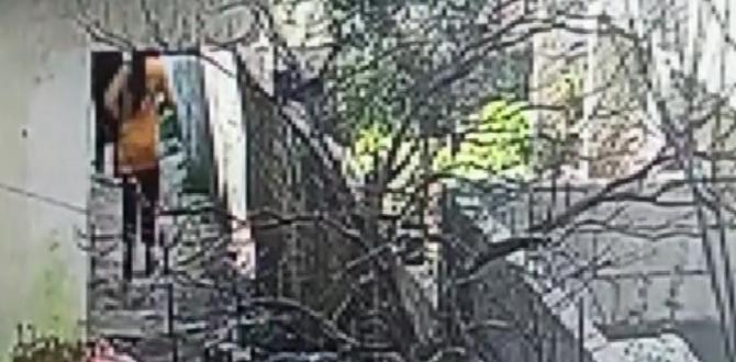 Hatay’da hırsızlık çetesine 3 tutuklama