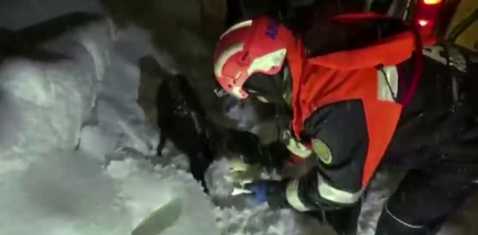 Yaylada mahsur kalan besici aileye kurtarma operasyonu