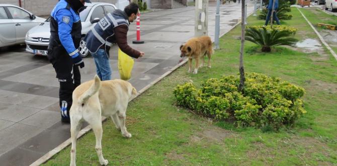 Polisten sokak hayvanlarına mama ve su desteği