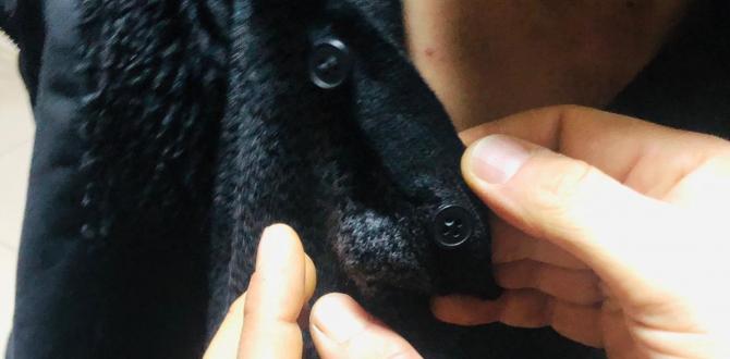 Yakasındaki kamerayla ehliyet sınavına girerken yakalandı