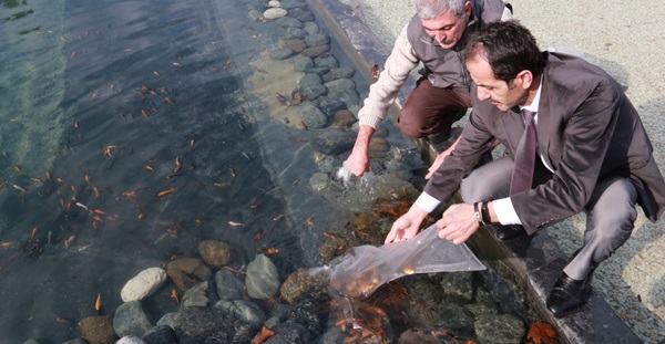 Biyolojik EXPO göleti yavru balıkları ile ikinci kez buluştu