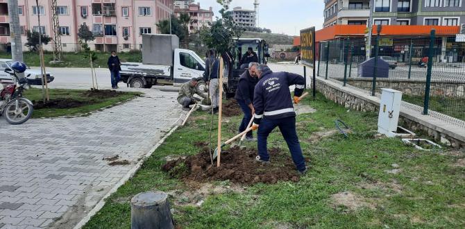 Antakya Belediyesi, ağaçlandırma çalışmalarına devam ediyor