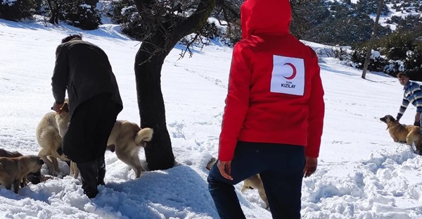 Kızılay sessiz dostlarımıza sahip çıkıyor