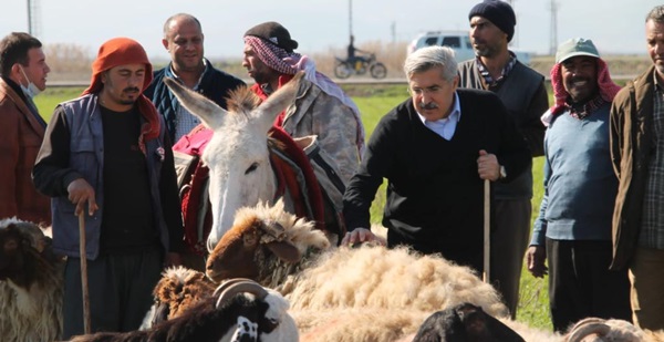Vekil Yayman, çobanları dinledi 