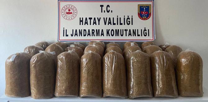 Hatay’da kaçakçılık operasyonu