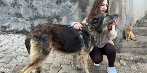 Komşusunun kızına ve köpeğine ağaç dalıyla saldırdı