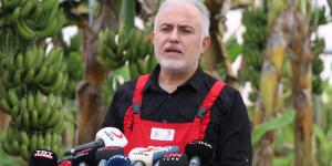 Kızılay’dan Hatay’da muz hasadı