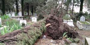 Fırtınanın kökünden söktüğü ağaçlar mezarlara zarar verdi