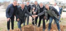 Yayman, Hatay’ı Çınar ve Dut ağaçlarıyla donatıyor