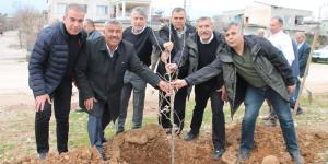Yayman, Hatay’ı Çınar ve Dut ağaçlarıyla donatıyor