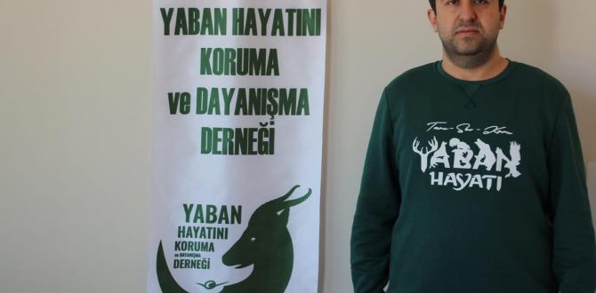 Av yasağı başladı