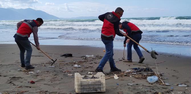 Hatay’da sahile vuran ölü denizanaları incelemeye alındı