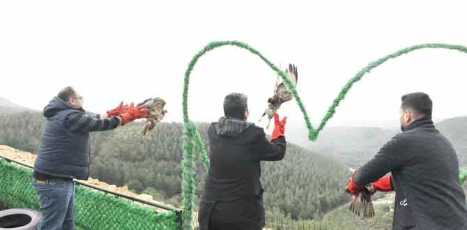 Tedavileri tamamlanan 3 adet kızıl Şahin, Belen’de özgürlüğüne kavuştu