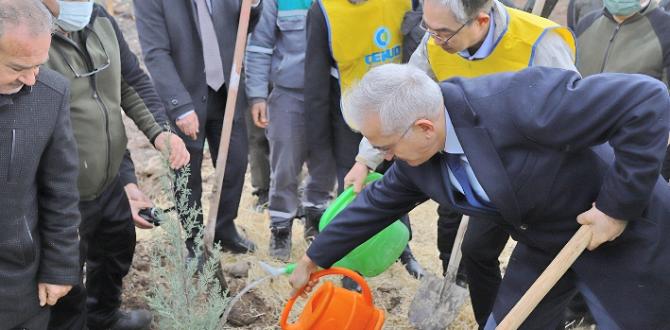 Türkiye – Kore dostluğu 580 bin fidanla kökleşti