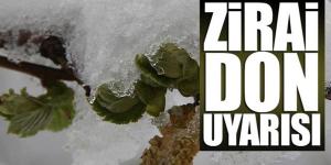 Hatay Valiliği’nden zirai don uyarısı