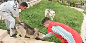 Ramazan ayında sessiz dostlar unutulmadı