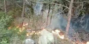 Dörtyol’daki yangınla ilgili 2 gözaltı