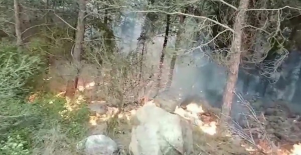 Dörtyol’daki yangınla ilgili 2 gözaltı