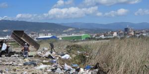 Hatay’da kuşların barınma alanlarına çöp ve moloz dökülüyor