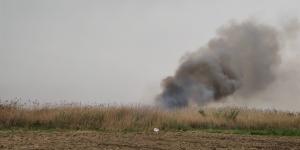 Hatay’da sazlık alanda yangın