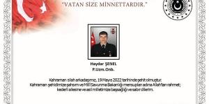 Hataylı asker şehit oldu