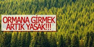 Hatay’da Ormanlara Giriş Yasaklandı