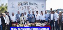 Arsuz kayısısı festivalde tanıtıldı