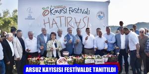 Arsuz kayısısı festivalde tanıtıldı