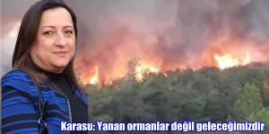 Karasu: Yanan ormanlar değil geleceğimizdir