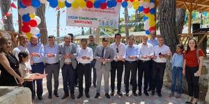 Yayladağı’nda “Çocuk Festivali” düzenlendi