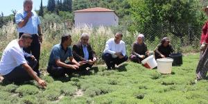 Başkan Sarı, Kamberli’de vatandaşlarla buluştu