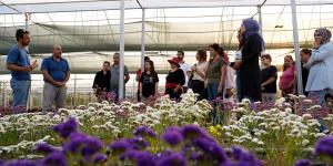 RENGÂRENK BAHÇELER RENGÂRENK EXPO