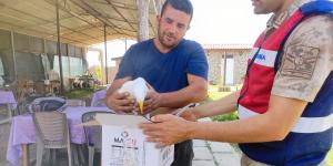 Hatay’da yaralı gümüş martıya vatandaş şefkati