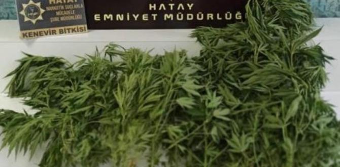 Hatay’da uyuşturucu operasyonu