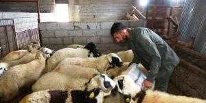 Kurbanlıklar Hatay’a doğru yola çıktı