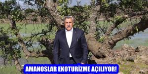 AMANOSLAR EKOTURİZME AÇILIYOR