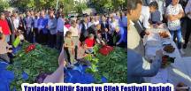 Yayladağı Kültür Sanat ve Çilek Festivali başladı