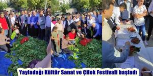 Yayladağı Kültür Sanat ve Çilek Festivali başladı