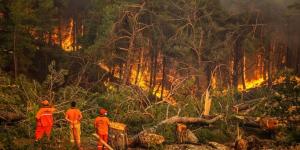 İçişleri Bakanlığı’ndan 81 il valiliğine yangın genelgesi