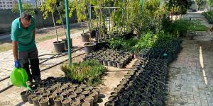 ANTAKYA BELEDİYESİ’NDEN FİDE EKİMİ ÇALIŞMASI