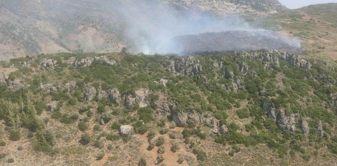 Hatay’da makilik alanda yangın çıktı