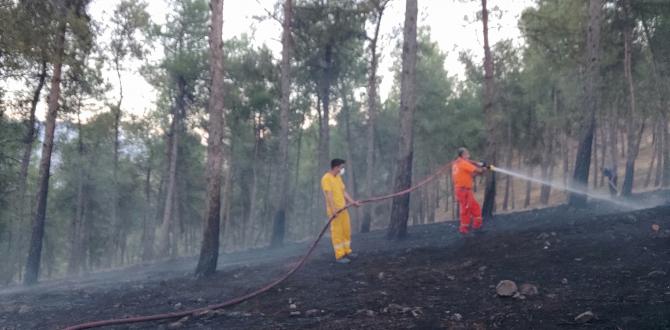Kırıkhan’da örtü yangını