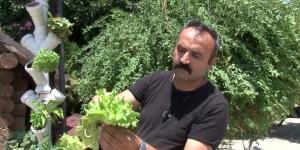 Güneş enerjisiyle topraksız dikey tarım