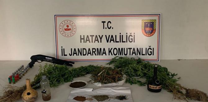 Evinde kubar esrar yetiştiren şüpheli gözaltına alındı