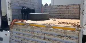 Hatay’da 41 kilo metamfetamin ile 6,4 kilo eroin ele geçirildi